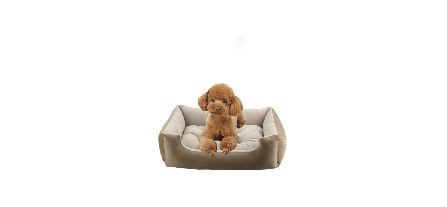 Relaxing Sofa Bed for Small and Medium Dogs