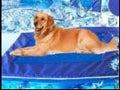 Tapete de gel refrescante para mascotas