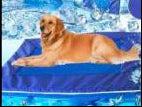 Tapete de gel refrescante para mascotas
