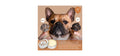 Moisturizing Lotion for Dog and Cat Skin