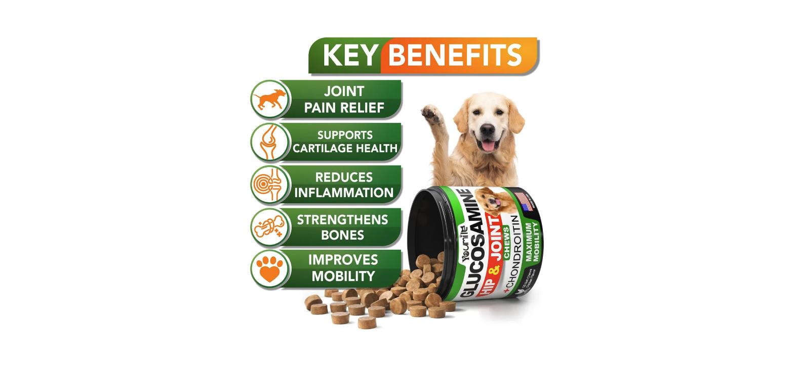 Joint Care Supplement for Pets